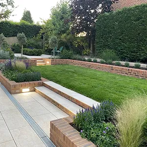 a garden with a lot of green grass