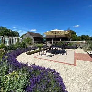 a patio with a table and chairs surrounded by purple flowers