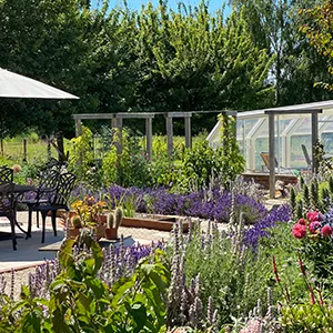 a garden filled with lots of different types of flowers